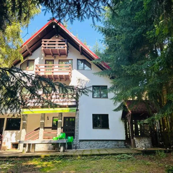 Casa Mario, hotel in Dragoslavele