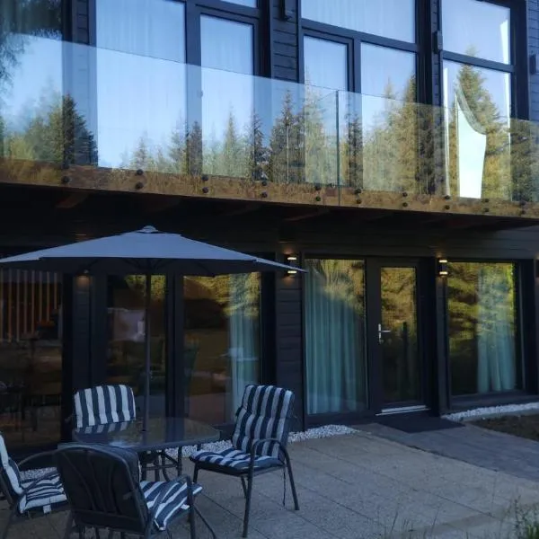 Casa cu brazi, hotel en Predeal