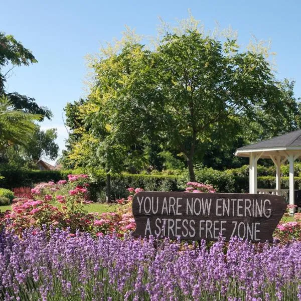 Tisza Lodge B&B - Panzió, hotel in Tiszaderzs