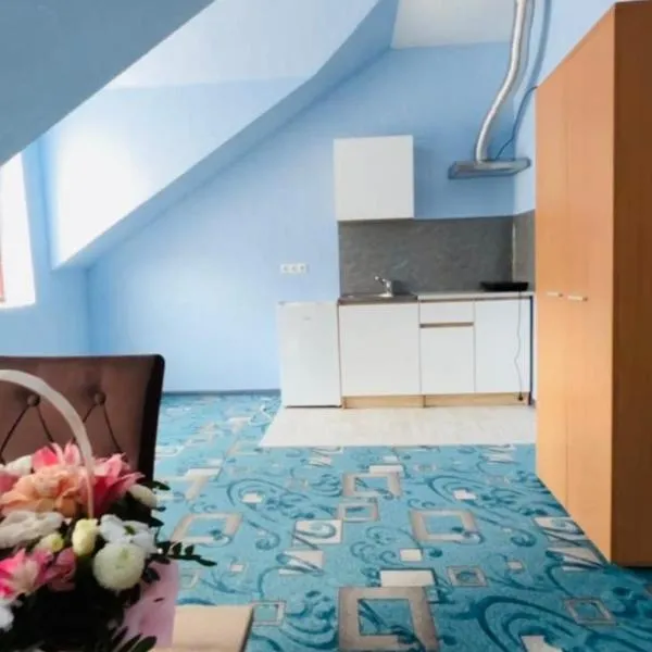 Червона Ружа, hotel in Uzhhorod