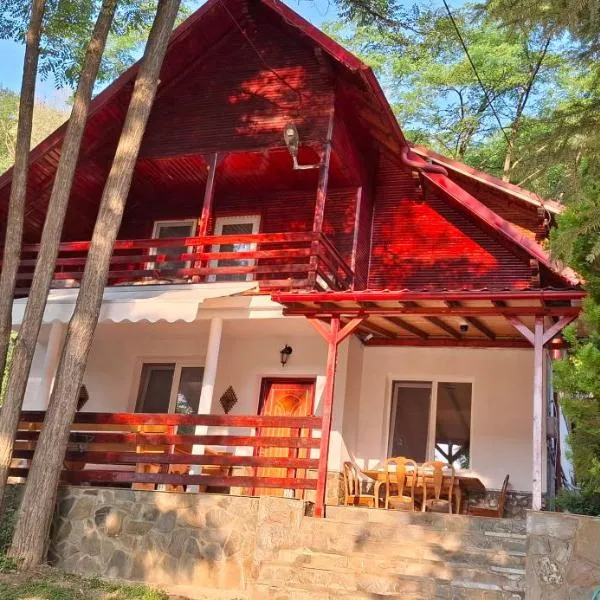 Pensiunea Geo, hotel Lunca Maréban