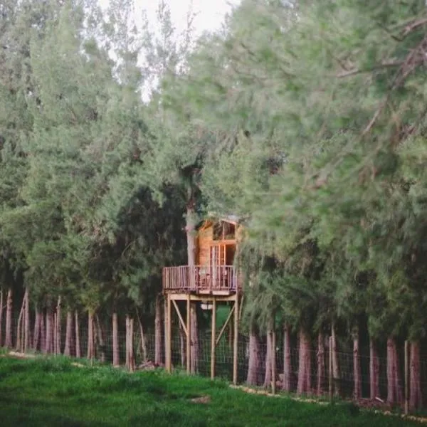 Vindoux Tree House Guest Farm & Spa, hotel v destinaci Tulbagh