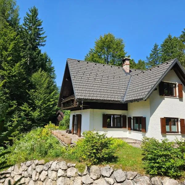 Chalet 61 Lake Jasna, hótel í Kranjska Gora