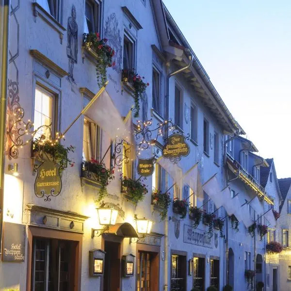 Hotel Wappenstube, hôtel à Erbach