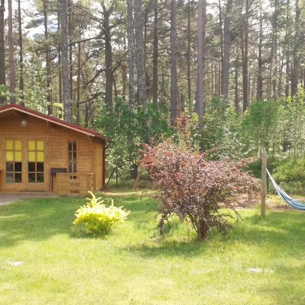 Viesu māja Klētnieki, hotel in Ģipka