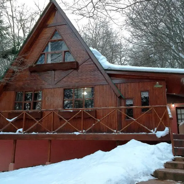 Cabañas Bosque Del Faldeo, Hotel in Ushuaia