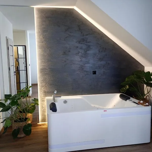 Kaszmirowe Mini Spa、アウグストゥフのホテル