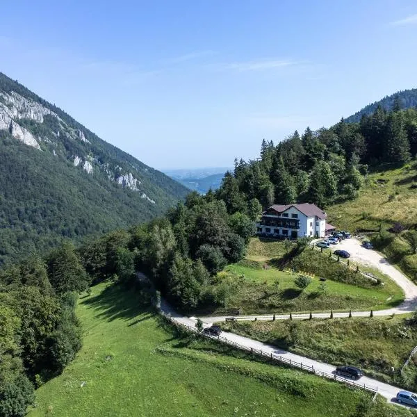 Pensiunea Magura, hotel i Măgura