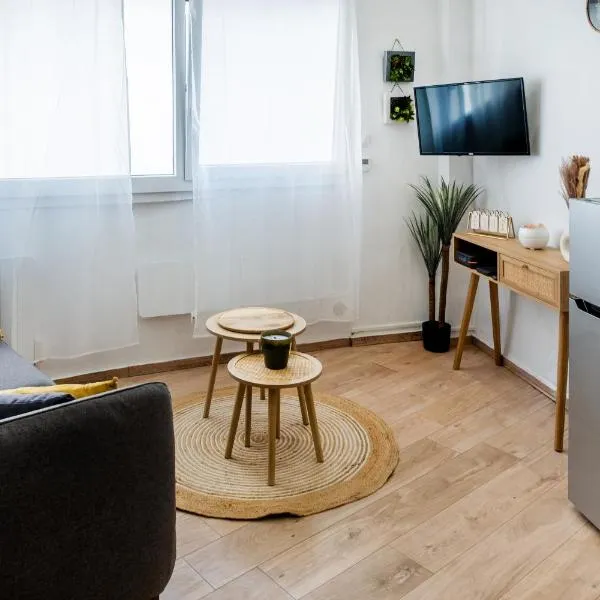 Le tilleul de LOURDES, Hotel in Lourdes