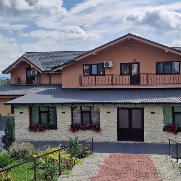 Casa Galu, hôtel à Nicoreşti