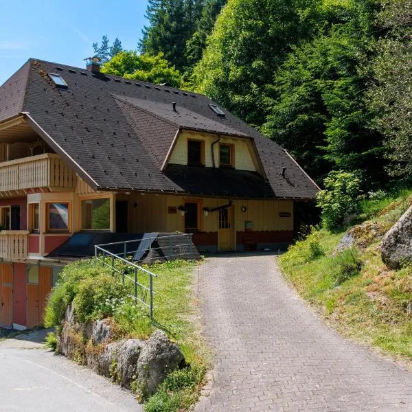 Hinterhauensteinhof, hotel in Hornberg