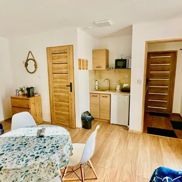 Apartament nr 3 przy Sali Kominkowej, khách sạn ở Przeczyce