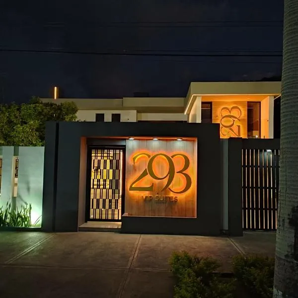 293 VIP Suites, Hotel in Cumaná