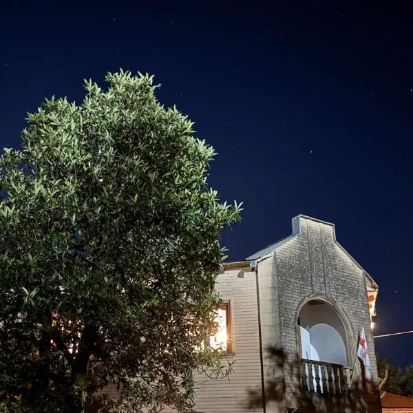 Сибиряк Sibiryak,位于茨卡尔图博的酒店