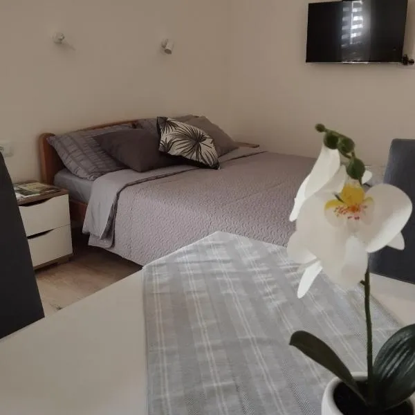 Oaza studio 2, hotel v destinaci Soko Banja
