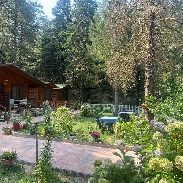 Bujtina Uji I Panjes, LLOGARA, hotel in Vlorë