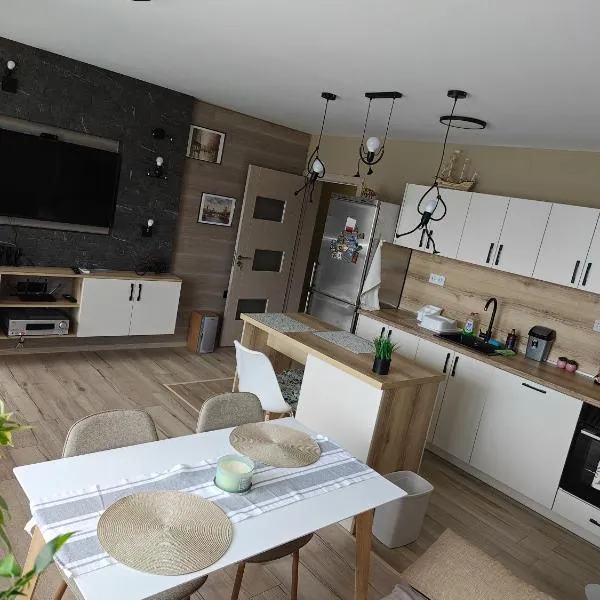 Luxury new apartment, Hotel in Stara Sagora