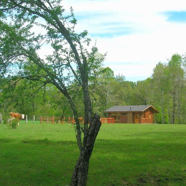 Cabañas Valle del Río