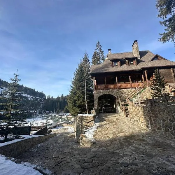 Видовий !!!, Hotel in Poljanyzja