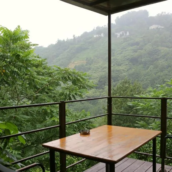 Modular House Green Zyland Y, hotel in Batumi