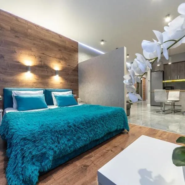 Studio Smart plaza Obolon 63, hotel in Kyiv