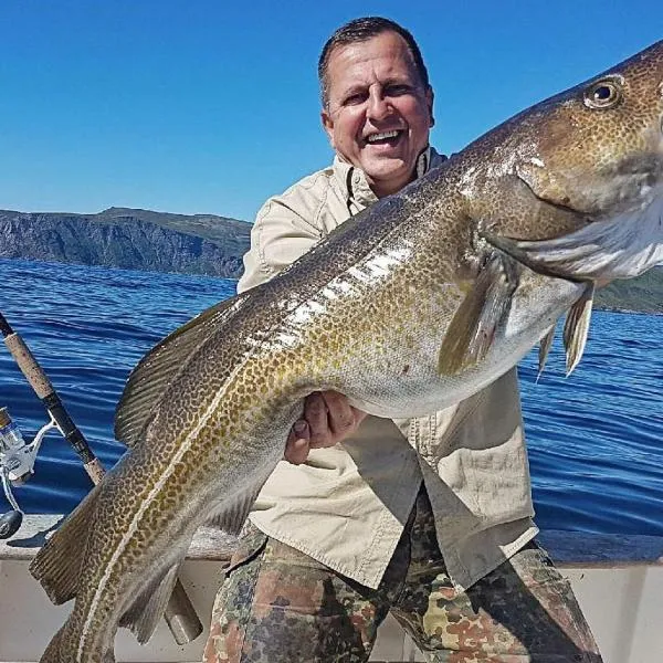 7 person holiday home in BREIVIKBOTN, hotel in Hansvoll