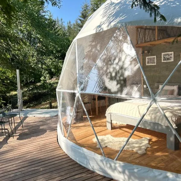 White Fox Dome, hotel in Harghita-Băi