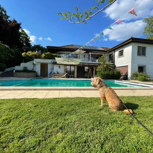 Alps and Lakeview Villa with Pool, khách sạn ở Haut-Vully