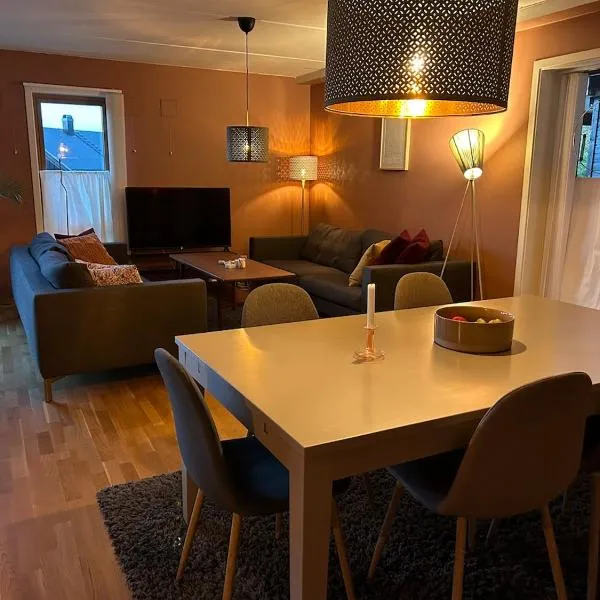139m2, 5 bedrooms, 2 baths, with sauna, ski in out, hotell i Kongsberg