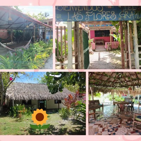 ECOHOTEL LAS FLORES Econativo, hotel din Isla Grande