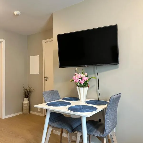 New and bright studio near Kristiansand Zoo and Kjevik airport, hotel in Kristiansand