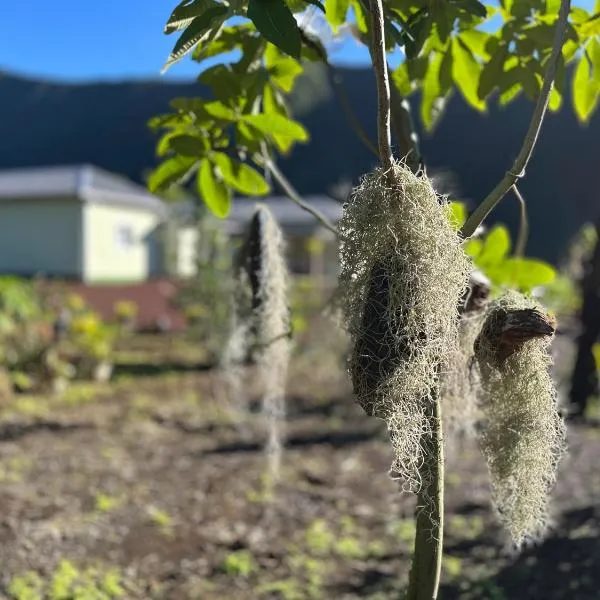 Porte de Grand Etang, Hotel in Saint-Benoît