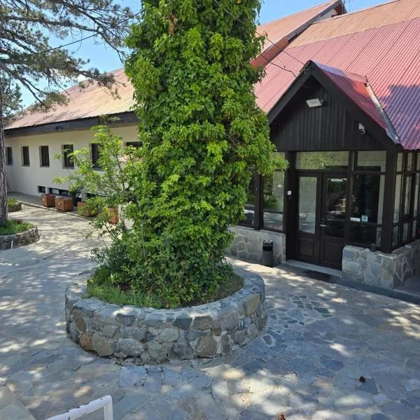 Jubilee Hotel Troodos, hotel in Troodos