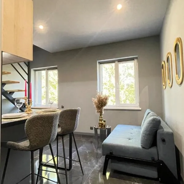 Просторий апартамент для 3 осіб N3, hotel v destinaci Černovice