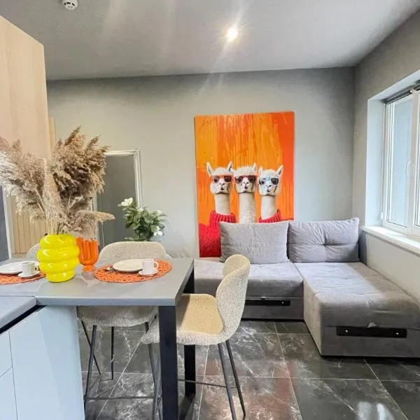 Family apartments N5, hotel v destinaci Černovice