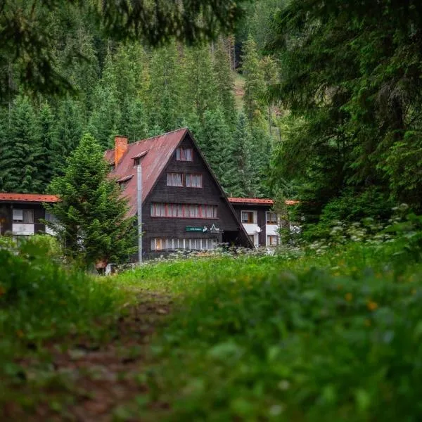 Horská chata Primula - 1000 m nad morom, hotel v Zuberci