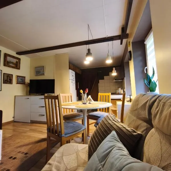 Cosy studio apartment with the garden, Hotel in Druskininkai