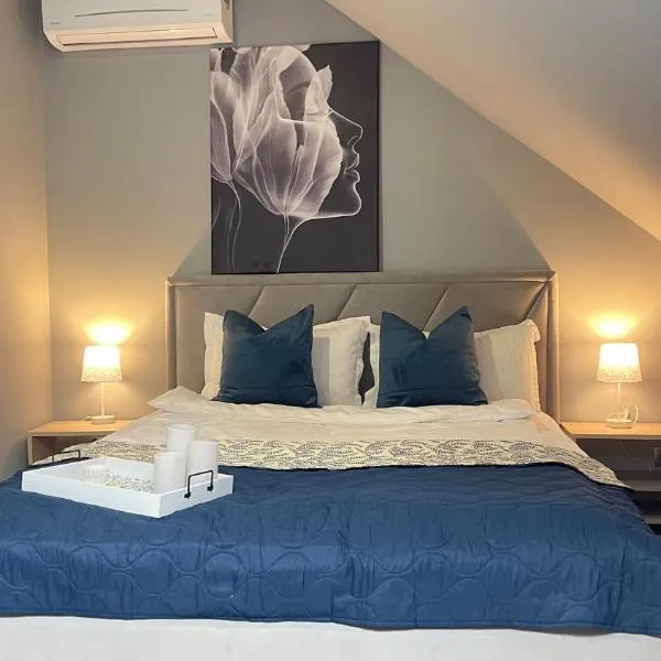 Дворівневий апартамент N8, hotel v destinaci Černovice