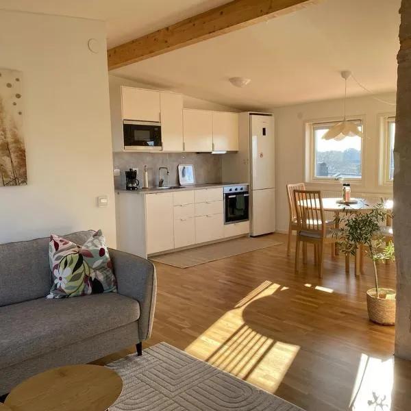 Lovely loft, centrally located, hotel in Växjö