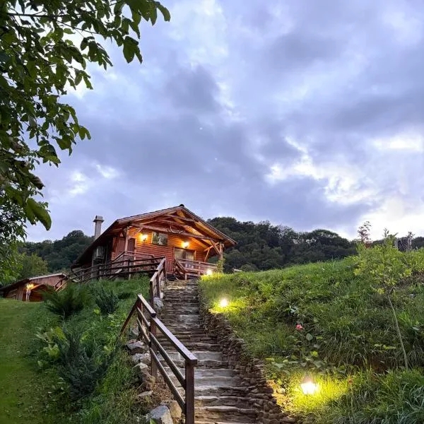 Chalets du BF, ξενοδοχείο στη Σιγκισοάρα