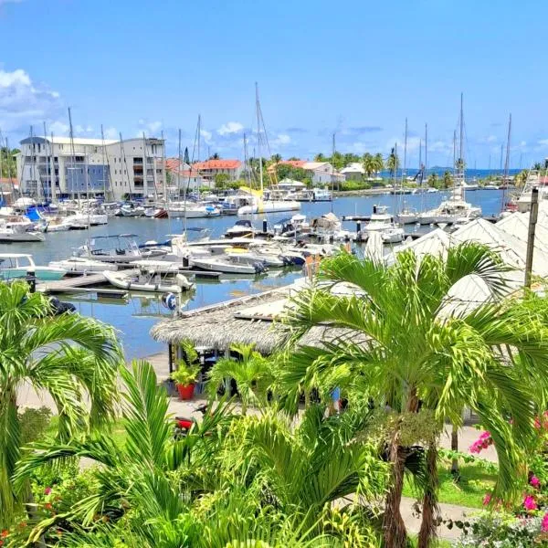 Duplex vue Mer, Piscines, Plages, Restaurants, Lagon, Jardin tropical,, hotel en Saint-François