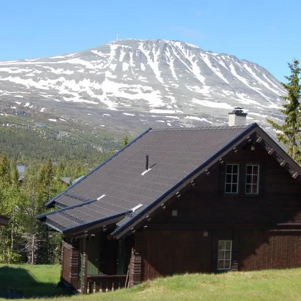 Kvitåvatn Fjellhytter,位于Gaustablikk的酒店
