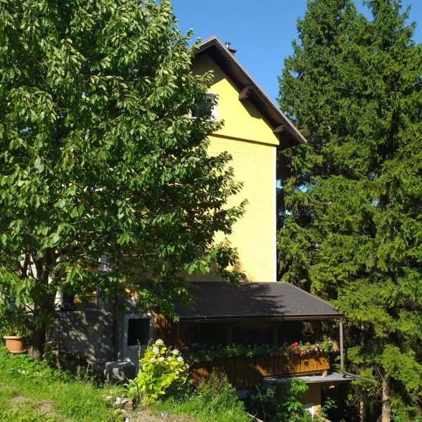 Ferienwohnung Rosenbach OG, hotel v destinaci Rosenbach