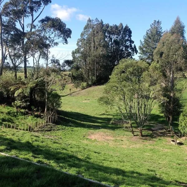 Rolling Hills Country Stay B&B, hôtel à Tauranga