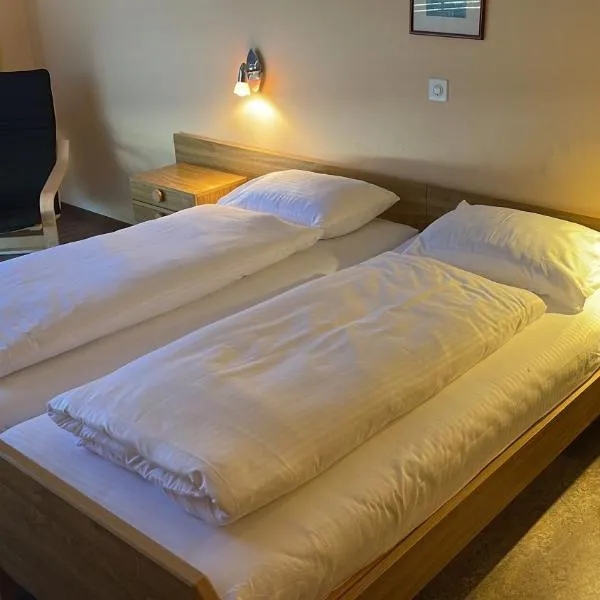 Hôtel EDIROL, hotel in Vouvry
