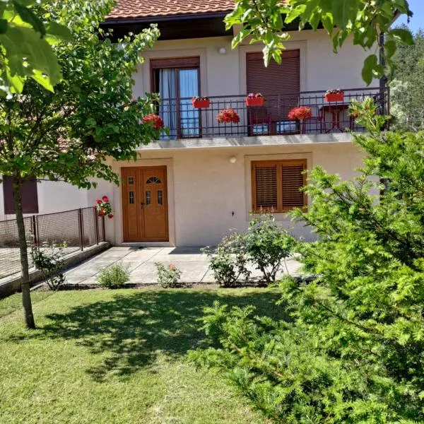 Apartman Damjanovic, Hotel in Cetinje