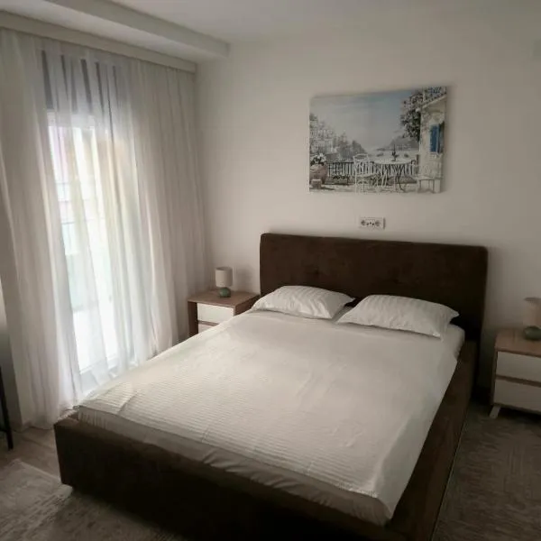 ALDA Apartmani Vranje，位于弗拉涅的酒店