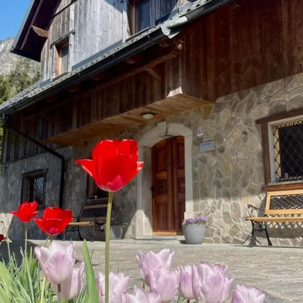 4 Elements Glamping & Apartments, ξενοδοχείο στο Μπλεντ