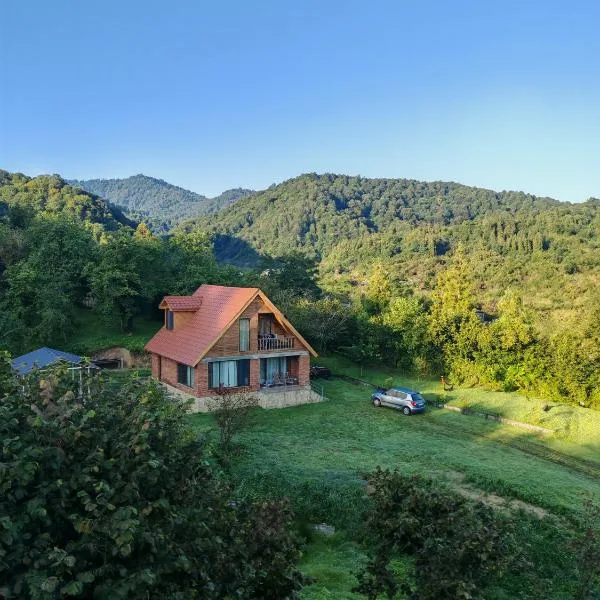 Shemoqmedi chalet, hotel v destinaci Zemo Makvanetʼi