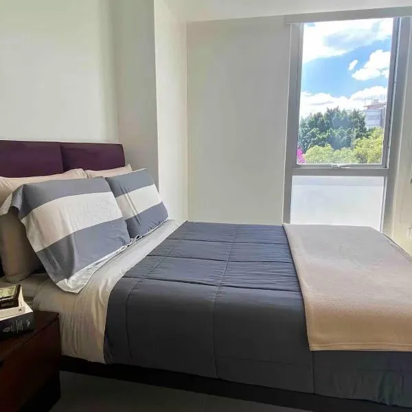 B204 - 1BR - 1BTh，墨西哥城的飯店